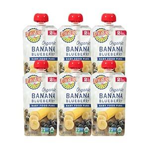 Earth's Best Organic Baby Food Pouches, Stage 2 Fruit Puree for Babies 6 Months and Older, Organic Banana and Blueberry Puree, 4 oz Resealable Pouch (Pack of 6)